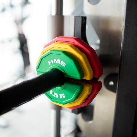 TSN25 2 x 0.25 KG TALERZ NA SPRZĘT DO TRENINGU SIŁOWEGO I FITNESS TYPU NAKŁADKA 2 x 0.25 KG HMS