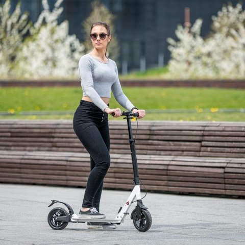 HM208T WHITE HULAJNOGA Z HAMULCEM TARCZOWYM NILS EXTREME