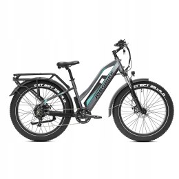 MIEJSKI ROWER ELEKTRYCZNY JOBOBIKE ROBIN FATBIKE 48V KOŁO 26 250W 7 BIEGÓW