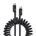 Kabel Baseus Fish-Eye Typ C-Typ C 100W 1m (czarny)