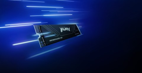 KINGSTON DYSK SSD SFYR2S/1T0 1TB FURY Ren. NVMe