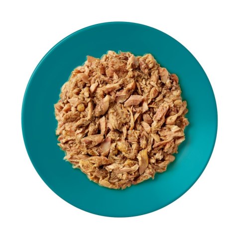 Applaws Cat Tin Ocean Fish 70g