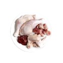 3Coty CHICKEN for Adult cats 80g