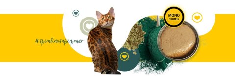 3Coty CHICKEN with Spirulina for Senior Cats 80g