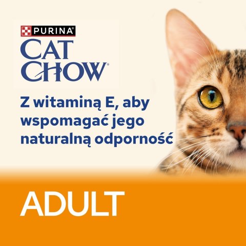 PURINA Cat Chow Kurczak, cukinia - mokra karma dla kota - 10x85 g