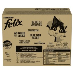 PURINA FELIX FANTASTIC Mix Wiejskie smaki 120x85g
