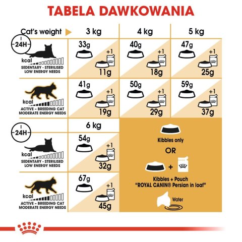 Royal Canin FBN Persian Adult - sucha karma dla kota dorosłego - 4kg