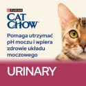 PURINA CAT CHOW Special Care Urinary Tract Health - sucha karma dla kota - 1,5 kg