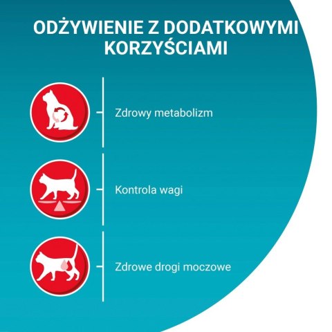 PURINA One Bifensis Sterilcat Wołowina - sucha karma dla kota - 800 g