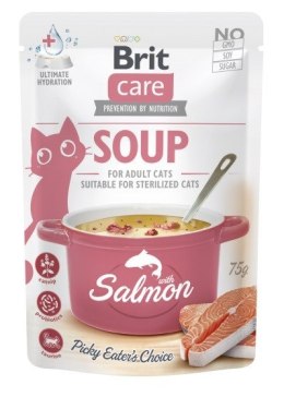 Brit Care Soup with salmon 75g cat
