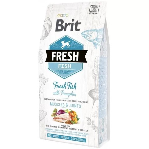 BRIT Fresh Fish & Pumpkin Adult Large muscles & joints 12kg