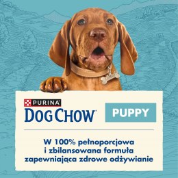 PURINA DOG CHOW Puppy Lamb - sucha karma dla szczeniąt wszystkich ras - 14 kg