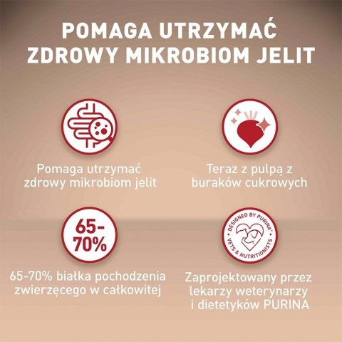PURINA One Mini/Small Sensitive Łosoś, ryż - sucha karma dla psa - 800 g