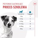 ROYAL CANIN Training Treat Dog 110g