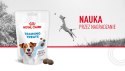 ROYAL CANIN Training Treat Dog 110g