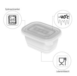 Rotho Freeze zestaw pojemników do mrożenia 6 x 0,25l