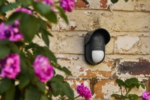 Yale Zewnętrzny czujnik ruchu - Przyjazny zwierzętom