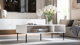 Stolik/ława PALAZZO BIS 110x60x40 biały mat