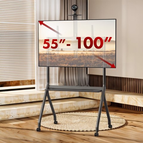 MACLEAN WÓZEK DO TV, PÓŁKA NA KAMERĘ, NA KÓŁKACH, 55-100", MAX. OBCIĄŻENIE 120KG/10KG PÓŁKA, MAX. VESA 900X600 MC-114 B MACLEAN WÓZEK DO TV, PÓŁKA NA KAMERĘ, NA KÓŁKACH, 55-100", MAX. OBCIĄŻENIE 120KG/10KG PÓŁKA, MAX. VESA 900X600 MC-114 B