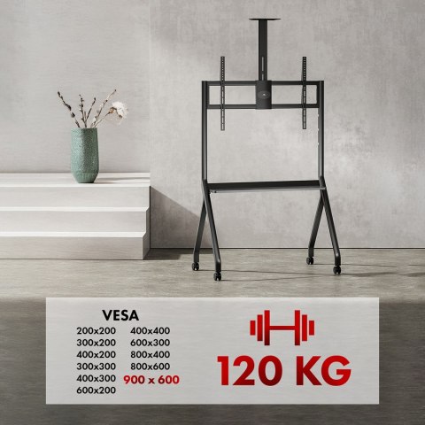 MACLEAN WÓZEK DO TV, PÓŁKA NA KAMERĘ, NA KÓŁKACH, 55-100", MAX. OBCIĄŻENIE 120KG/10KG PÓŁKA, MAX. VESA 900X600 MC-114 B MACLEAN WÓZEK DO TV, PÓŁKA NA KAMERĘ, NA KÓŁKACH, 55-100", MAX. OBCIĄŻENIE 120KG/10KG PÓŁKA, MAX. VESA 900X600 MC-114 B