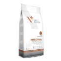VetExpert Veterinary Diet Intestinal cat 2kg
