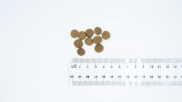 BULT Karma sucha z jagnię. dla psów małych ras 3kg