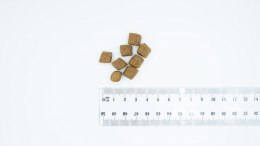 BULT Karma sucha z łososiem i pstrągiem dla psa 3kg