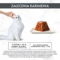 PURINA GOURMET REVELATIONS Łosoś w galaretce 2X57g