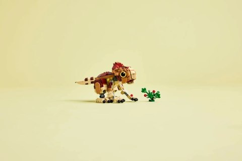 Lego 76970 Jurassic World - Mały dinozaur Dolores: aquilops