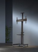GEMBIRD STOJAK POD TELEWIZOR MOBILNY 37-70" CZARNY