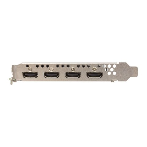 Karta graf. SPARKLE Intel Arc A310 Omni View 4GB (WYPRZEDAŻ)