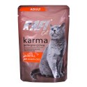 DOLINA NOTECI Rafi Cat Adult z kaczką - mokra karma dla kota - 100g