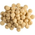 PURINA PRO PLAN VET DIETS HA Hypoallergenic 11kg (WYPRZEDAŻ)