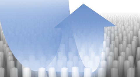 Zestaw detergentów Bosch do prania dywanów i tapicerki BBZWDSET