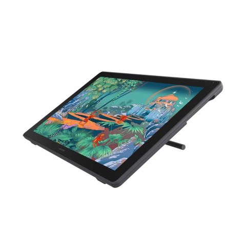 Tablet graficzny  Huion Kamvas 24 Plus