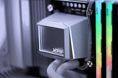 Actina SELECTION 265KF/32GB/1TB/RTX5070/750W