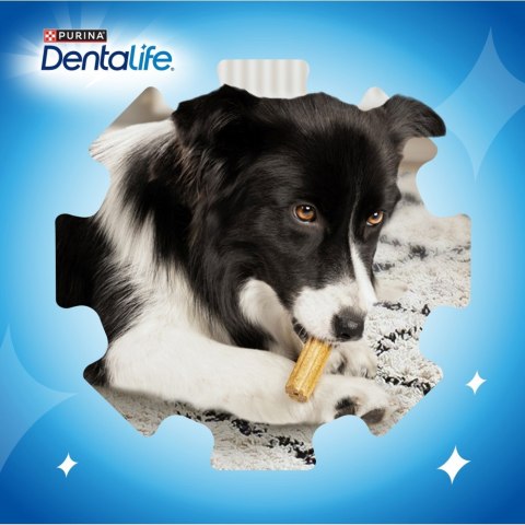 PURINA Dentalife Extra Mini - przekąska dentystyczna dla psa - 69 g