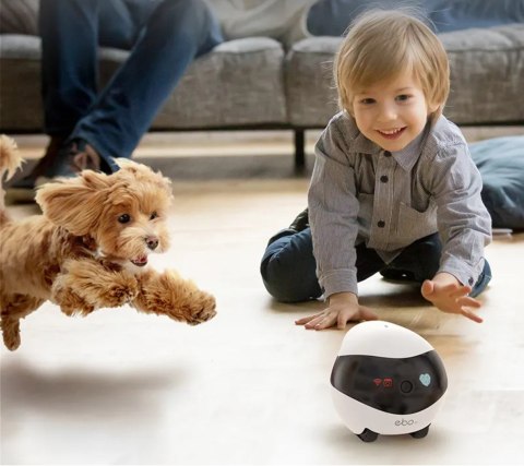 Robot AI ENABOT Ebo SE Biało-czarny