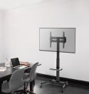 GEMBIRD STOJAK POD TELEWIZOR Z REGULACJĄ WYSOKOŚCI, MOBILNY, NA KÓŁKACH 32" - 55"
