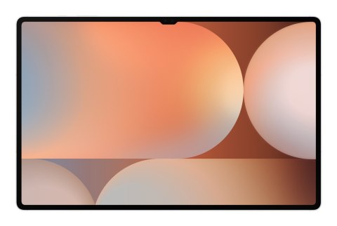 Samsung Galaxy Tab S10 Ultra (X926) WiFi+5G 16GB/1TB Silver (WYPRZEDAŻ)