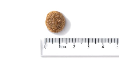 John Dog GOOD Adult wieprzowina z wołowiną12kg