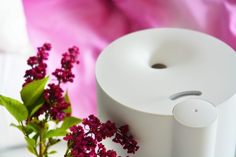 Nawilżacz powietrza Blaupunkt AHA501 (WYPRZEDAŻ)