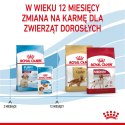 ROYAL CANIN SHN Medium Puppy - sucha karma dla szczeniąt - 15 kg (WYPRZEDAŻ)