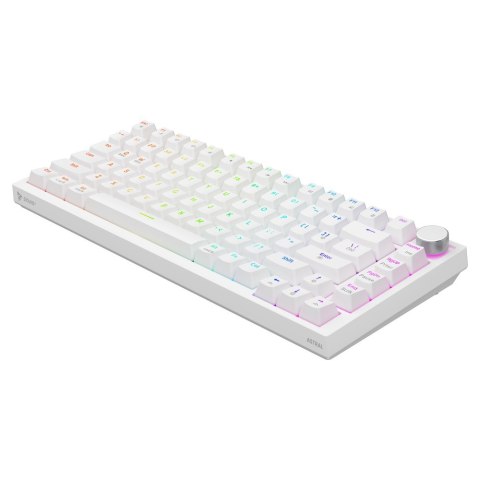 SAVIO KLAWIATURA MECHANICZNA ASTRAL WHITE OUTEMU WHITE JADE RGB