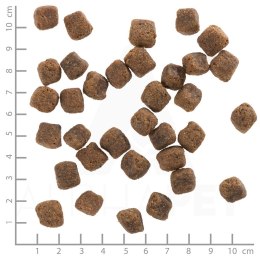 WOLFSBLUT Black Bird Adult turkey/sweet potat.12,5kg (WYPRZEDAŻ)