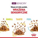 Karma Royal Canin Sensory Smell gravy 12x85g