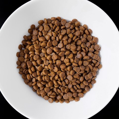 VET RESPONSE GASTROINTESTINAL dla kota 1,6 kg