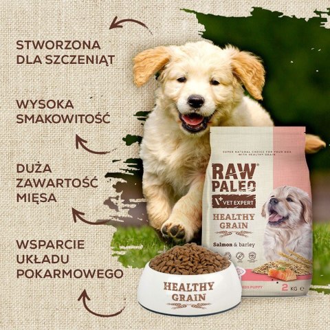VetExpert Raw Paleo Healthy Grain Salmon&Barley Puppy - Karma sucha dla psów - 10kg (WYPRZEDAŻ)