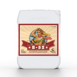 ADVANCED NUTRIENTS B-52 10L