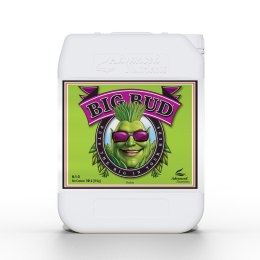 ADVANCED NUTRIENTS BIG BUD 10L